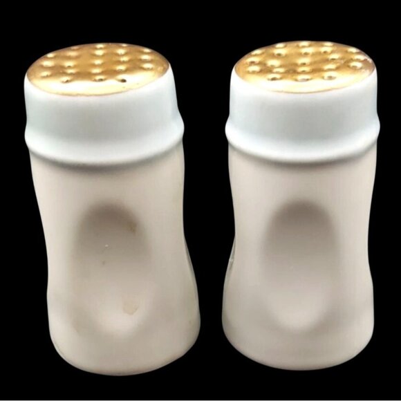 Vintage Bavaria Cameo Rose Hand-Painted Porcelain Salt & Pepper Shakers - Picture 4 of 6